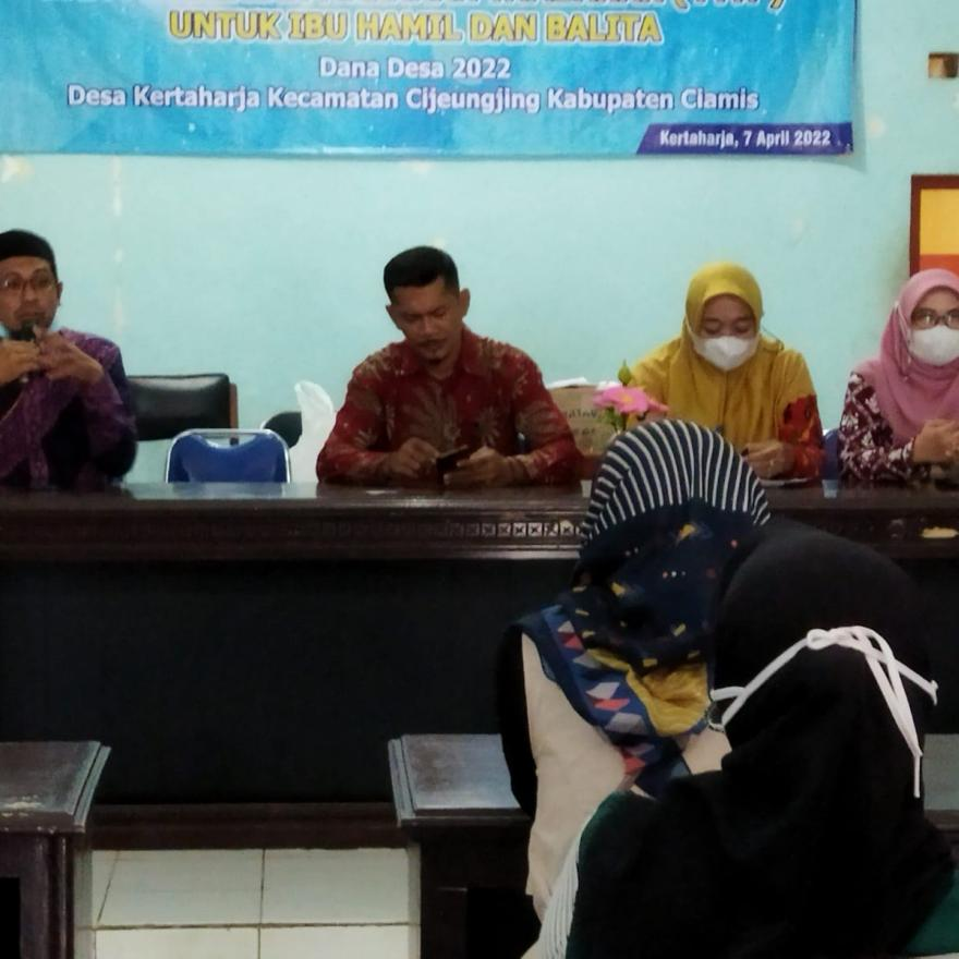 Pemberian Makanan Tambahan (PMT)